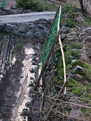 진전님의 기타작물 · 영농일지 작성글 사진