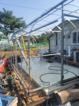 박치문님의 블루베리 · 영농일지 작성글 사진