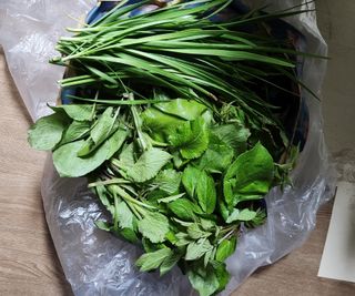 스마일00님의 기타작물 · 영농일지 작성글 사진