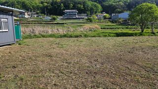 MJ님의 기타작물 · 영농일지 작성글 사진