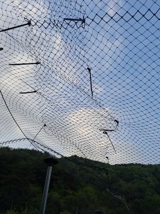 황인근님의 블루베리 · 영농일지 작성글 사진