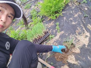 스마일00님의 기타작물 · 영농일지 작성글 사진