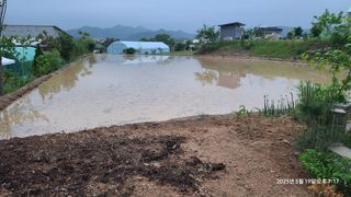 삼신령님의 벼 · 영농일지 작성글 사진