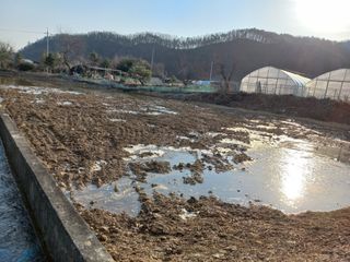 우렁논삼광심기님의 기타작물 · 영농일지 작성글 사진