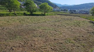 MJ님의 기타작물 · 영농일지 작성글 사진