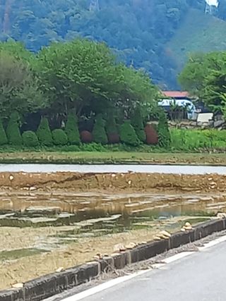 우렁논삼광심기님의 기타작물 · 영농일지 작성글 사진