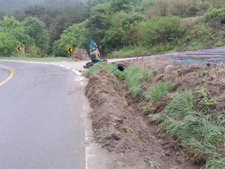 변호연님의 두릅 · 영농일지 작성글 사진