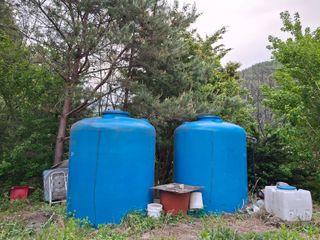 황인근님의 블루베리 · 영농일지 작성글 사진