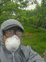 팜모닝 복숭아·영농일지 게시글 이미지