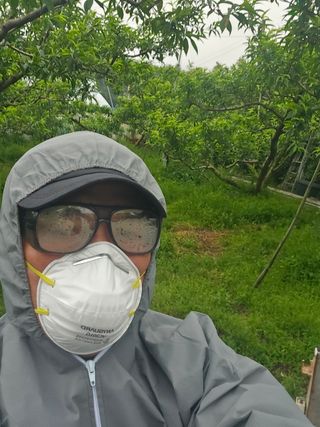 신현오님의 복숭아 · 영농일지 작성글 사진