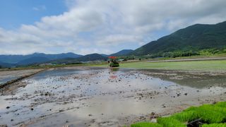 정정치님의 기타작물 · 영농일지 작성글 사진