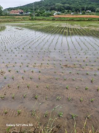 우희태님의 기타작물 · 영농일지 작성글 사진