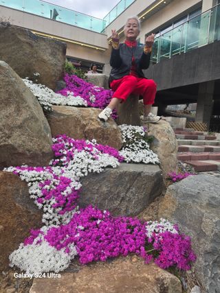 gigibae111님의 고추 · 영농일지 작성글 사진