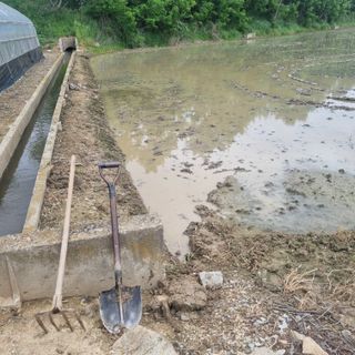 백현호님의 벼 · 영농일지 작성글 사진