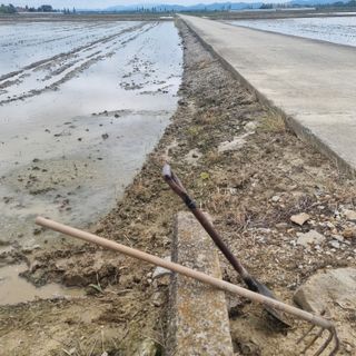 백현호님의 벼 · 영농일지 작성글 사진