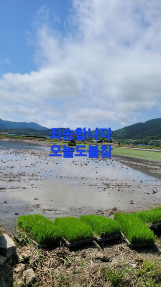 정정치님의 기타작물 · 영농일지 작성글 사진