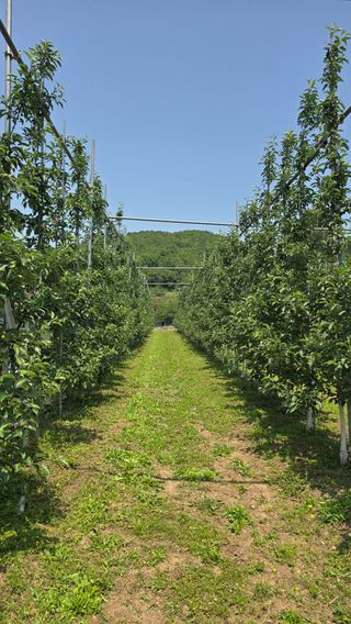 최해목님의 기타작물 · 영농일지 작성글 사진