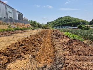 최진일님의 블루베리 · 영농일지 작성글 사진