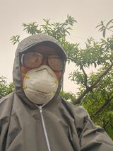 팜모닝 복숭아·영농일지 게시글 이미지