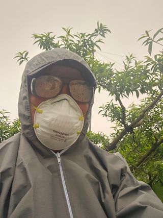 신현오님의 복숭아 · 영농일지 작성글 사진