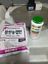 팜모닝 딸기·영농일지 게시글 이미지