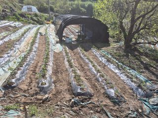 유윤주님의 기타작물 · 영농일지 작성글 사진