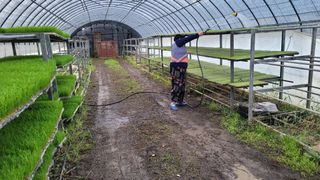 정정치님의 기타작물 · 영농일지 작성글 사진