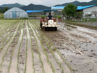 오작교농장님의 기타작물 · 영농일지 작성글 사진