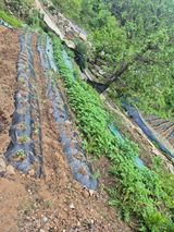 팜모닝 기타작물·영농일지 게시글 이미지