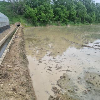 백현호님의 벼 · 영농일지 작성글 사진