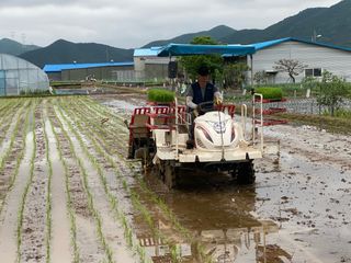 오작교농장님의 기타작물 · 영농일지 작성글 사진