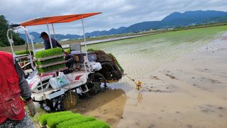 정정치님의 기타작물 · 영농일지 작성글 사진