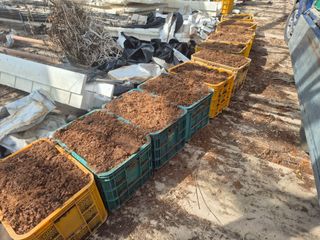 최진일님의 블루베리 · 영농일지 작성글 사진