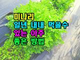 팜모닝 기타작물·영농일지 게시글 이미지