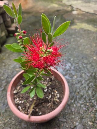 참살이님의 기타작물 · 영농일지 작성글 사진