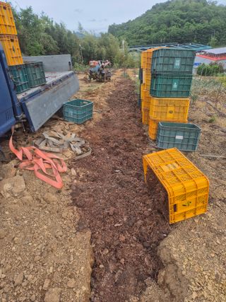 최진일님의 블루베리 · 영농일지 작성글 사진