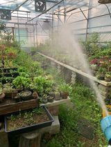 팜모닝 기타작물·영농일지 게시글 이미지