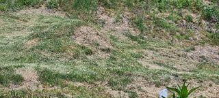 박사원농장님의 기타작물 · 영농일지 작성글 사진