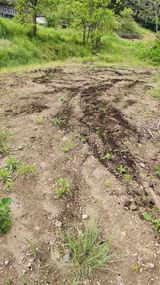 팜모닝 콩·영농일지 게시글 이미지