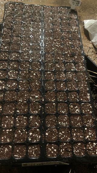 원스피릿팜님의 기타작물 · 영농일지 작성글 사진