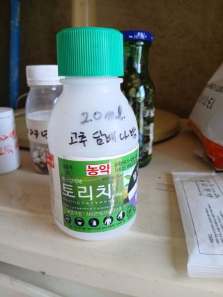 백영호님의 고추 · 영농일지 작성글 사진