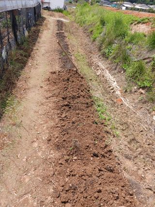 백영호님의 고추 · 영농일지 작성글 사진