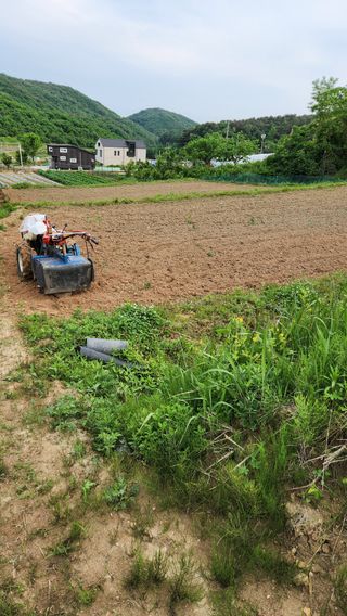 현길01021982님의 기타작물 · 영농일지 작성글 사진