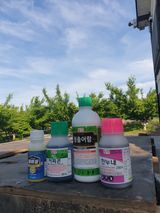 팜모닝 자두·영농일지 게시글 이미지