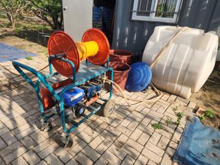 대운농원님의 기타작물 · 영농일지 작성글 사진