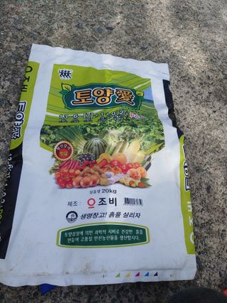 단감당감님의 감 · 영농일지 작성글 사진