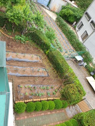 0102274435님의 기타작물 · 영농일지 작성글 사진