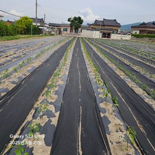 박용열조물주님 님의 기타작물 · 영농일지 작성글 사진