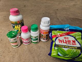 전봉우(채미농원)님의 고추 · 영농일지 작성글 사진