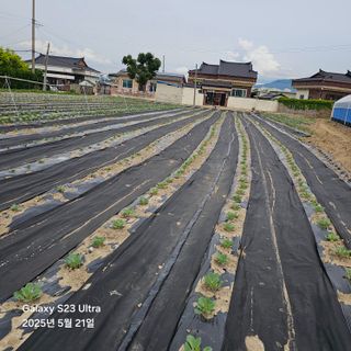 박용열조물주님 님의 기타작물 · 영농일지 작성글 사진